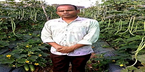 बाम्हनपाली के किसान राजकुमार ने बरबटी और खीरा की खेती से कमाया 2.70 लाख रुपये का शुद्ध लाभ