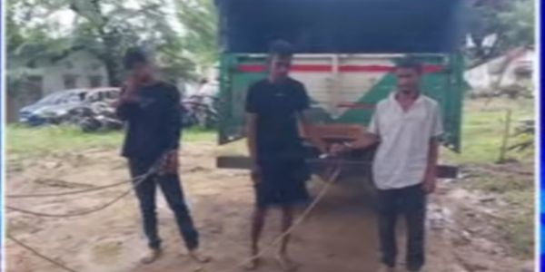 दुधनै में पशु चोरी गिरोह के खिलाफ पुलिस की बड़ी कार्रवाई