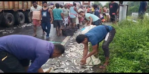 ट्रक से टकराया मछली लदा पिकअप वैन, बिखरी मछलियां लूटने उमड़ी भीड़