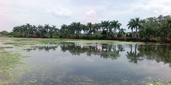 तीन दशक बाद लबालब हुआ मकई तालाब, भूजल स्तर में भी सुधार