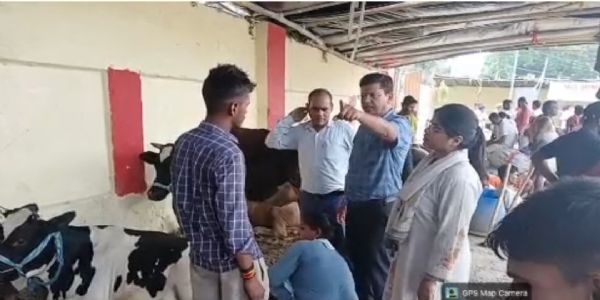 बाढ़ प्रभावित सारण में पशुधन की सुरक्षा के लिए विशेष चिकित्सा अभियान