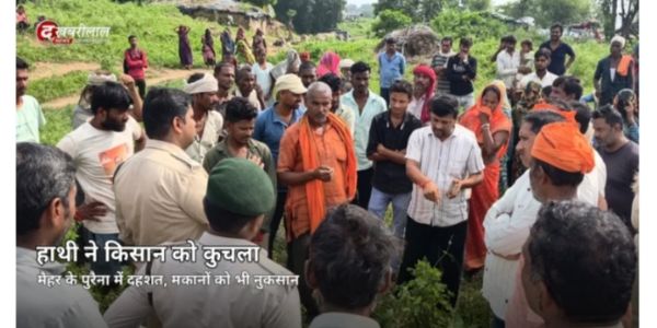मैहर में जंगली हाथी का आतंक, ग्रामीण की मौत और तीन मकान ढहाए