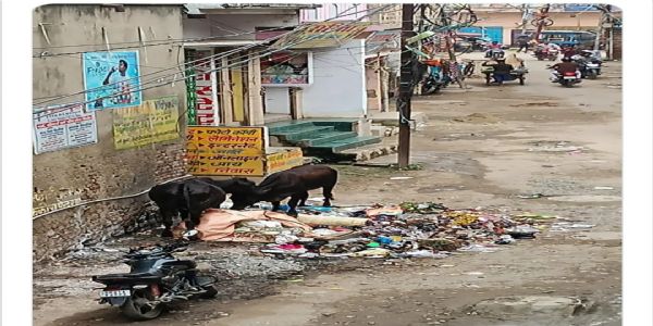 नगर निगम ने चार घंटे में किया 99 शिकायतों का समाधान