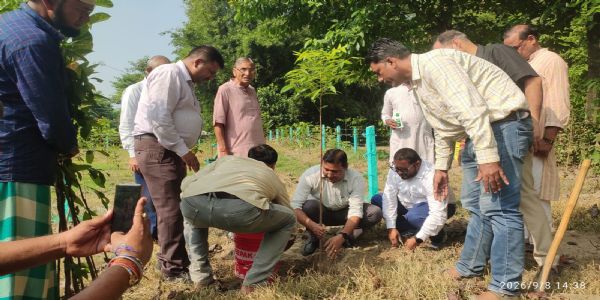 सुखानगर पंचायत में उप विकास आयुक्त ने किया पौधरोपण