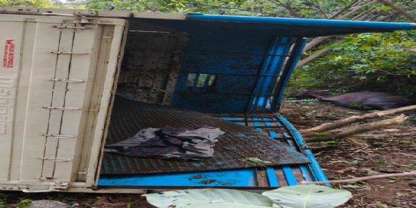 पिकअप पलटने से मवेशियों के अवैध तस्करी का खुला राज