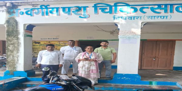सारण में बाढ़ प्रभावित क्षेत्रों में पशुओं के स्वास्थ्य परीक्षण और चारे का प्रबंध तेज