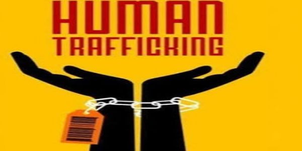 मीरजापुर: होटल-ढाबों और गैराजों में छापेमारी, पांच नाबालिग बालश्रम से मुक्त