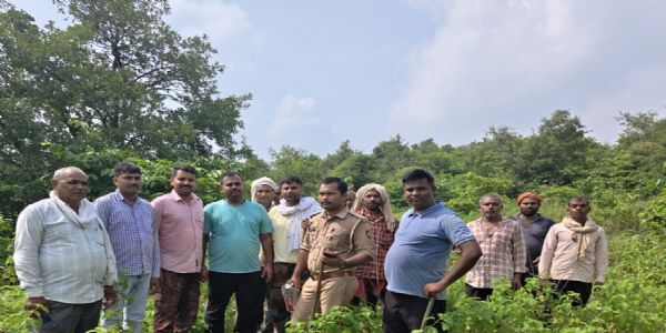 मीरजापुर : आबादी क्षेत्र से सटे जंगल में हाथियों का जोड़ा, दहशत में ग्रामीण, वन विभाग अलर्ट